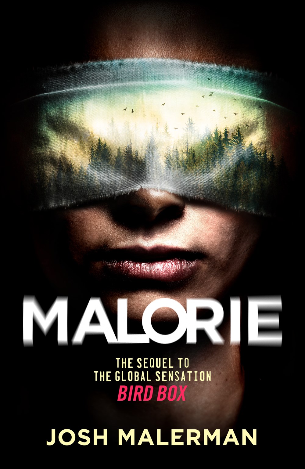Malorie Summary