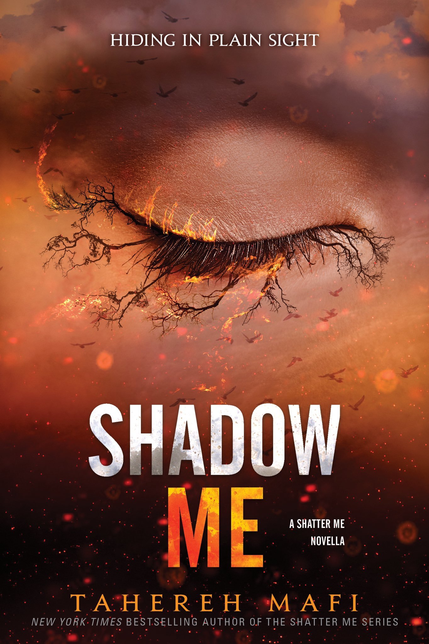 Shadow Me Summary