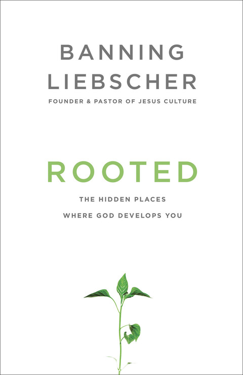 Rooted: The Hidden Places Where God Develops You Cover