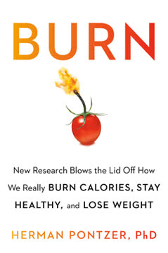 Burn Summary