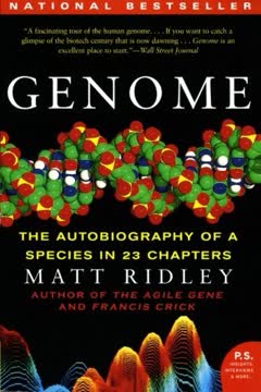 Genome by Matt Ridley