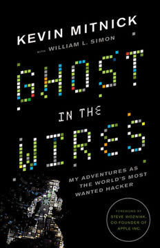 Ghost in the Wires Summary