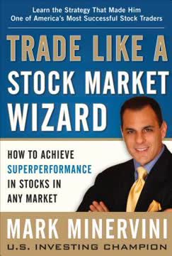 Trade Like a Stock Market Wizard Summary